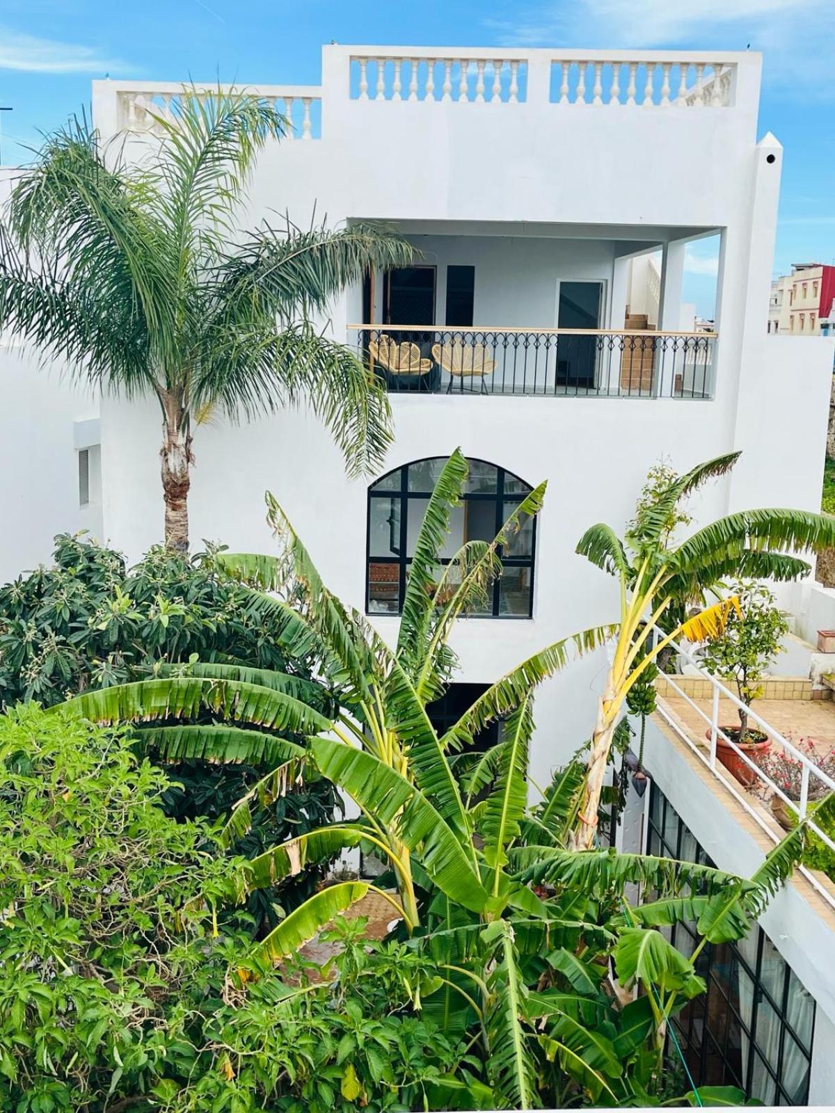 Riad Oasis D'أصيلة المظهر الخارجي الصورة