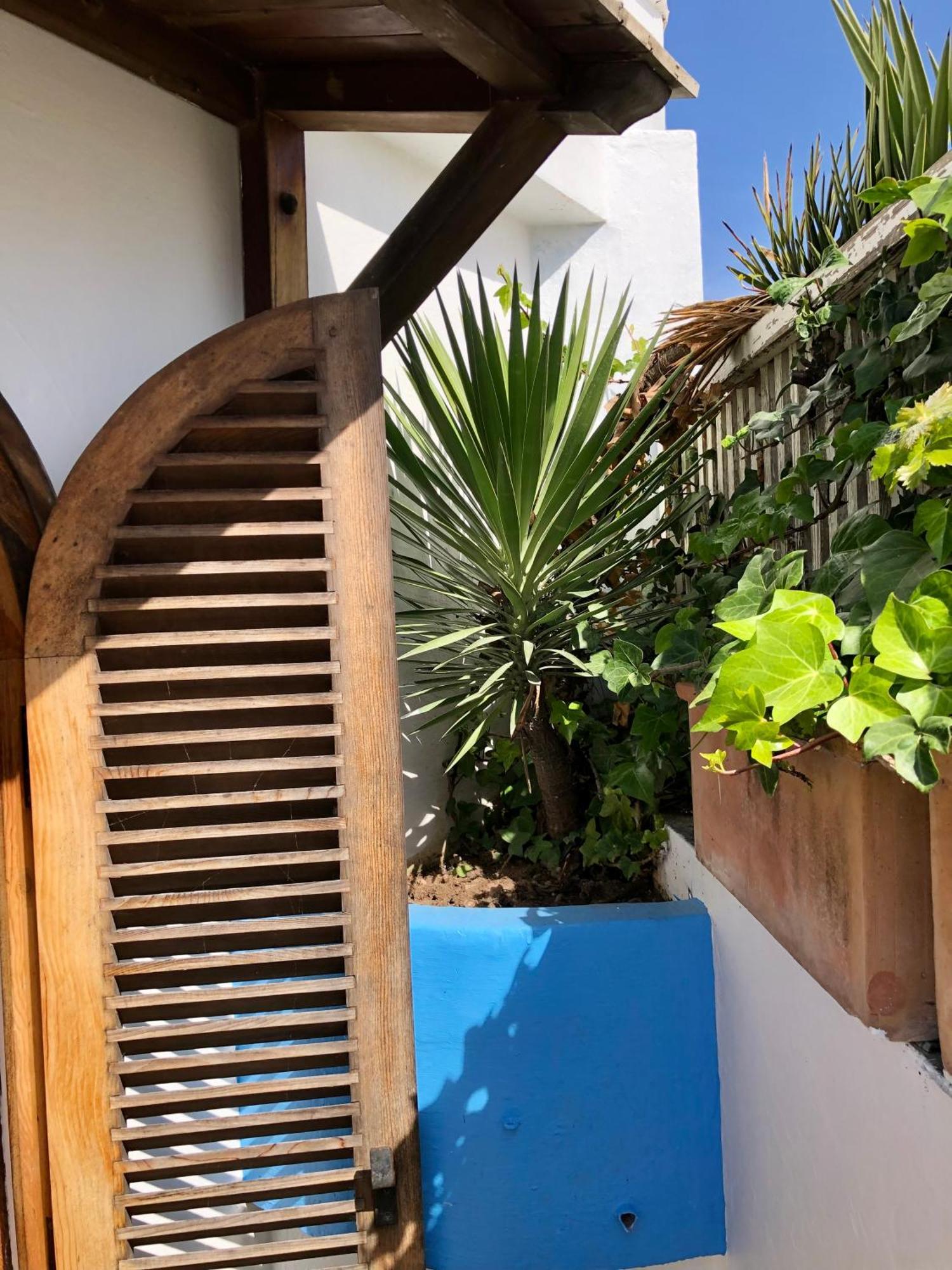 Riad Oasis D'أصيلة المظهر الخارجي الصورة
