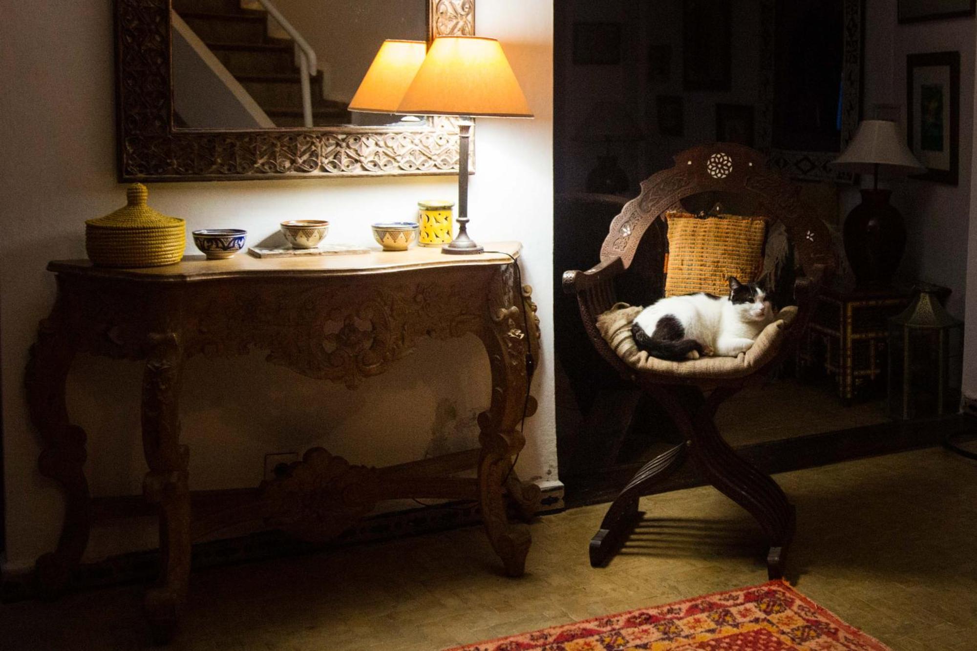 Riad Oasis D'أصيلة المظهر الخارجي الصورة