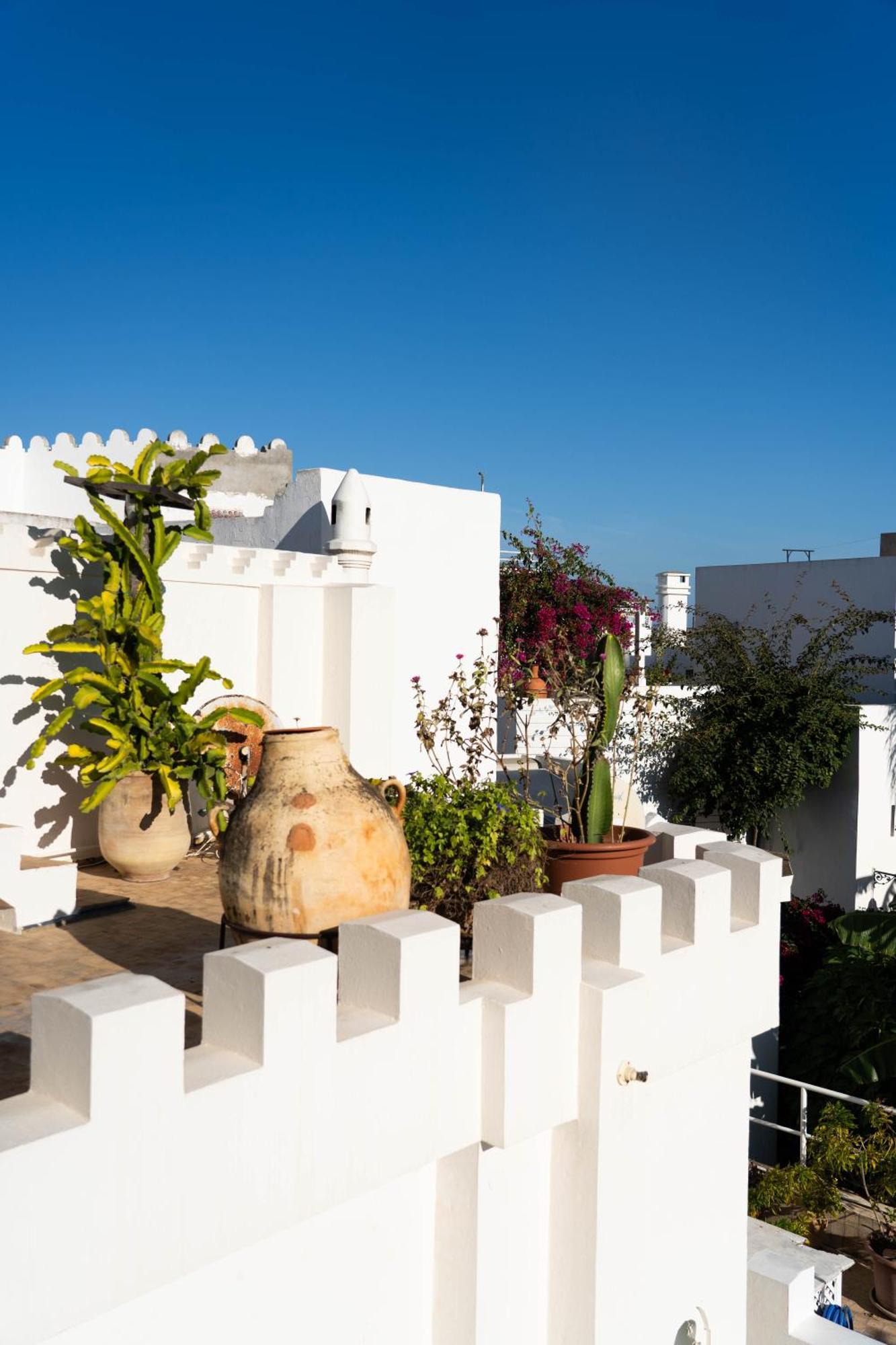 Riad Oasis D'أصيلة المظهر الخارجي الصورة