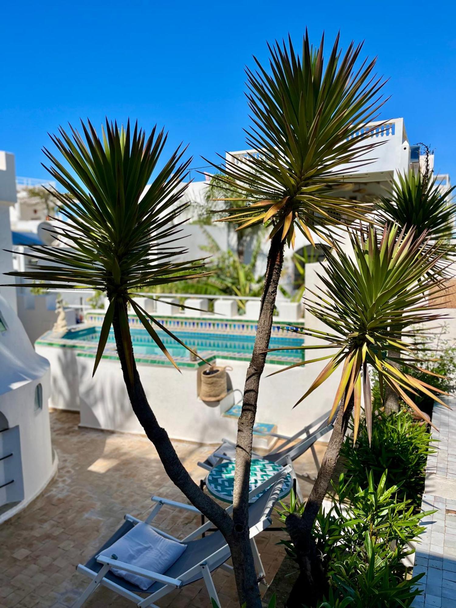 Riad Oasis D'أصيلة المظهر الخارجي الصورة